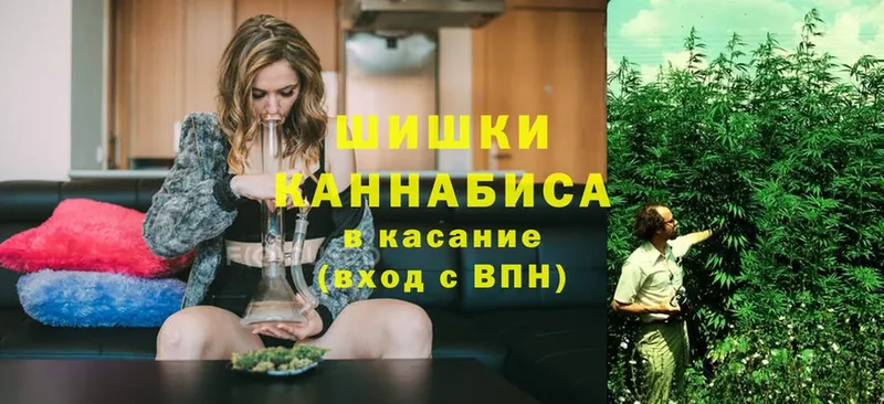 Шишки марихуана SATIVA & INDICA  сколько стоит  blacksprut сайт  Мосальск 